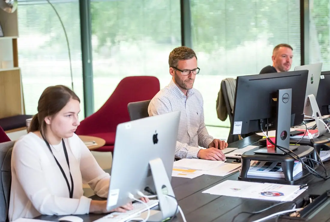 Colleagues working side by side at their screens
